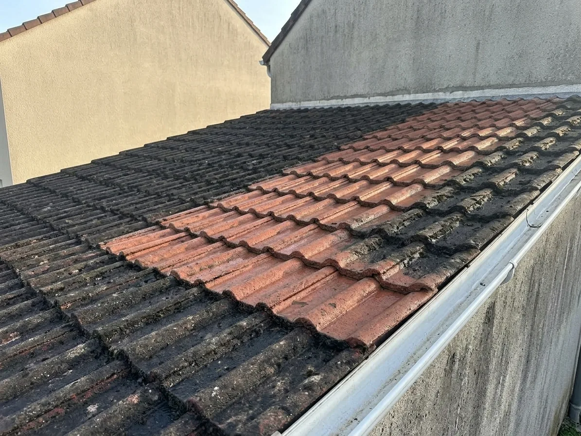 Démoussage de toiture à Chelles